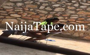 Naija Lover Caught Fucking Outdoor Video