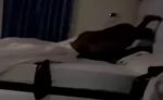 Sex Video Of Nigerian University Student Fucking Olosho Hard